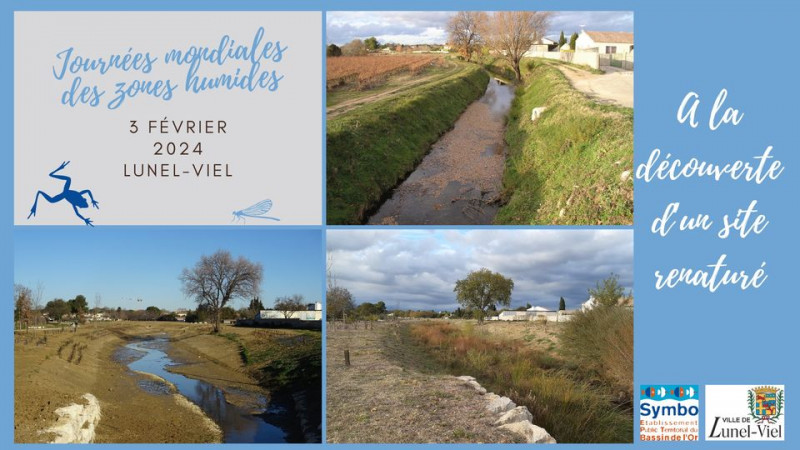 journée zones humides 2024 dardaillon
