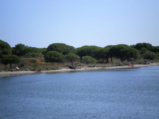 Le Ponant à La Grande Motte photo AGME34